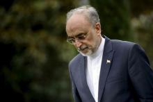 The Head of the Iranian Atomic Energy Organization Ali Akbar Salehi walks through a garden at the Beau Rivage Palace Hotel during an extended round of talks in Lausanne, April 2, 2015. PHOTO BY REUTERS/Brendan Smialowski