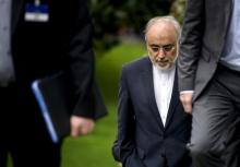 The Head of the Iranian Atomic Energy Organization Ali Akbar Salehi walks through a garden at the Beau Rivage Palace Hotel during an extended round of talks in Lausanne, April 2, 2015. PHOTO BY REUTERS/Brendan Smialowski