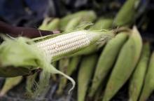 A hawker prepares a cob of corn at his makeshift shop in Soweto, South Africa, January 27, 2016. PHOTO BY REUTERS/Siphiwe Sibeko