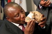 South Africa's Deputy President Cyril Ramaphosa kisses a replica of the skull of a newly discovered ancient species, named "Homo naledi", during its unveiling outside Johannesburg, September 10, 2015. PHOTO BY REUTERS/Siphiwe Sibeko