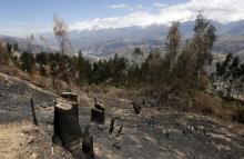 Deforestation is seen in a village in Carhuaz in the Andean region of Ancash, November 28, 2014. PHOTO BY REUTERS/ Mariana Bazo