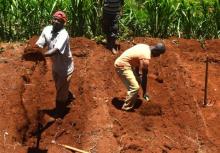 Samuel Kinuthia (left) and workers dig basin terraces at his farm in Kiaruta village, Murang'a county, central Kenya. PHOTO BY REUTERS/David Njagi