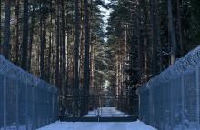 Barbed wire fence surrounding a military area is pictured in the forest near Stare Kiejkuty village, close to Szczytno in northeastern Poland, January 24, 2014. PHOTO BY REUTERS/Kacper Pempel