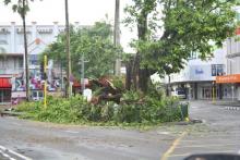 A tree in the center of Fiji's capital Suva lays in ruin after Cyclone Winston swept across Viti Levu Island, February 21, 2016. PHOTO BY REUTERS/Taniela Qalilawa