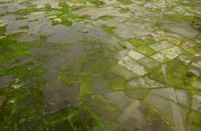 Flooded fields are seen from the air near Beira, Mozambique, in the aftermath of Cyclone Idai, March 23, 2019. PHOTO BY REUTERS/Mike Hutchings