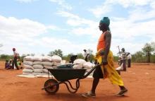 A villager uses a wheelbarrow to collect a monthly food ration provided by the United Nations World Food Programme (WFP) in Masvingo, Zimbabwe, January 25, 2016. PHOTO BY REUTERS/Philimon Bulawayo