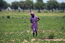 A girl farms the land during the rainy season outside Gereida (South Darfur)