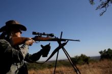 Professional hunter CEO of PHASA (Professional hunters association of South Africa), Adri Kitshoff, takes aim during a hunt for game at the Iwamanzi Game Reserve in Koster, in the North West Province, June 6, 2015. PHOTO BY REUTERS/Siphiwe Sibeko