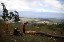 A man cuts a tree in the fields of Chapotin, with Boucan Ferdinand and the Dominican Republic in the background, on the trail that connects Boucan Ferdinand and Chapotin, Haiti, April 11, 2018. PHOTO BY REUTERS/Andres Martinez Casares