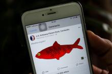 A picture of a red herring posted on the Facebook page of the U.S. embassy is seen in a mobile phone in Phnom Penh in Cambodia, September 11, 2017. PHOTO BY REUTERS/Samrang Pring