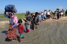 Rohingya refugees walk towards a refugee camp after crossing the border in Anjuman Para near Cox's Bazar, Bangladesh, November 19, 2017. PHOTO BY REUTERS/Mohammad Ponir Hossain