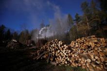 Stacks of wood are near a charcoal furnace at a charcoal making site in the forest of Bieszczady Mountains near Baligrod village, Poland, October 28, 2016. PHOTO BY REUTERS/Kacper Pempel
